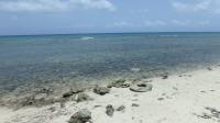 413418, Little Cayman Ocean Front Land
